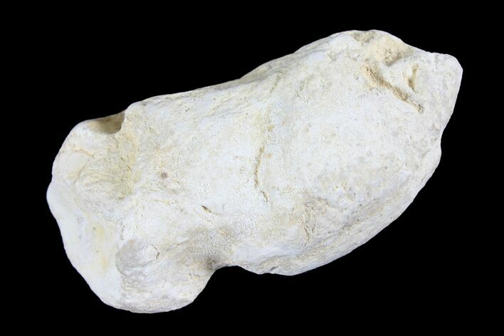 Cretaceous Fish Coprolite (Fossil Poop) - Kansas #93780